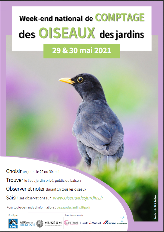 Capture d’écran 2021-05-05 à 09