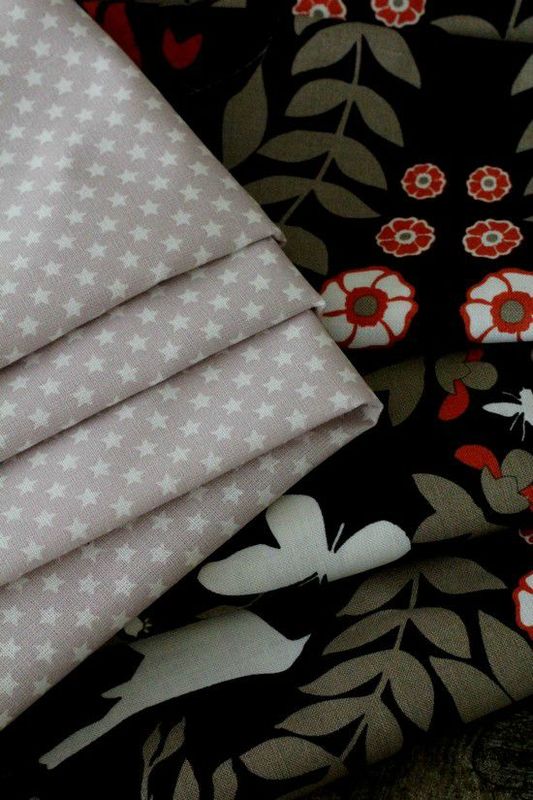 PAPILLONS4