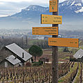 Vignes Chignin 2020 12 17 (23)