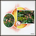Jardin de mimou - tulipes