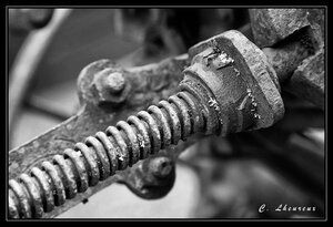 _MG_2961-Modifier