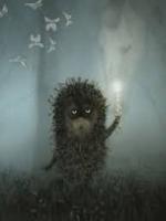 brouillard
