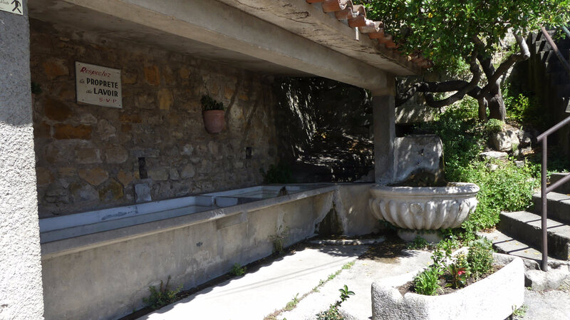 P1020585 (2)