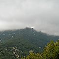 P1120828 (2)