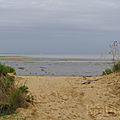Carte postale