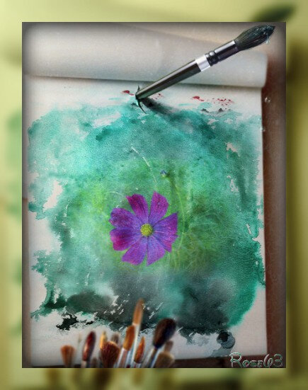 cosmos façon peinture Rose63