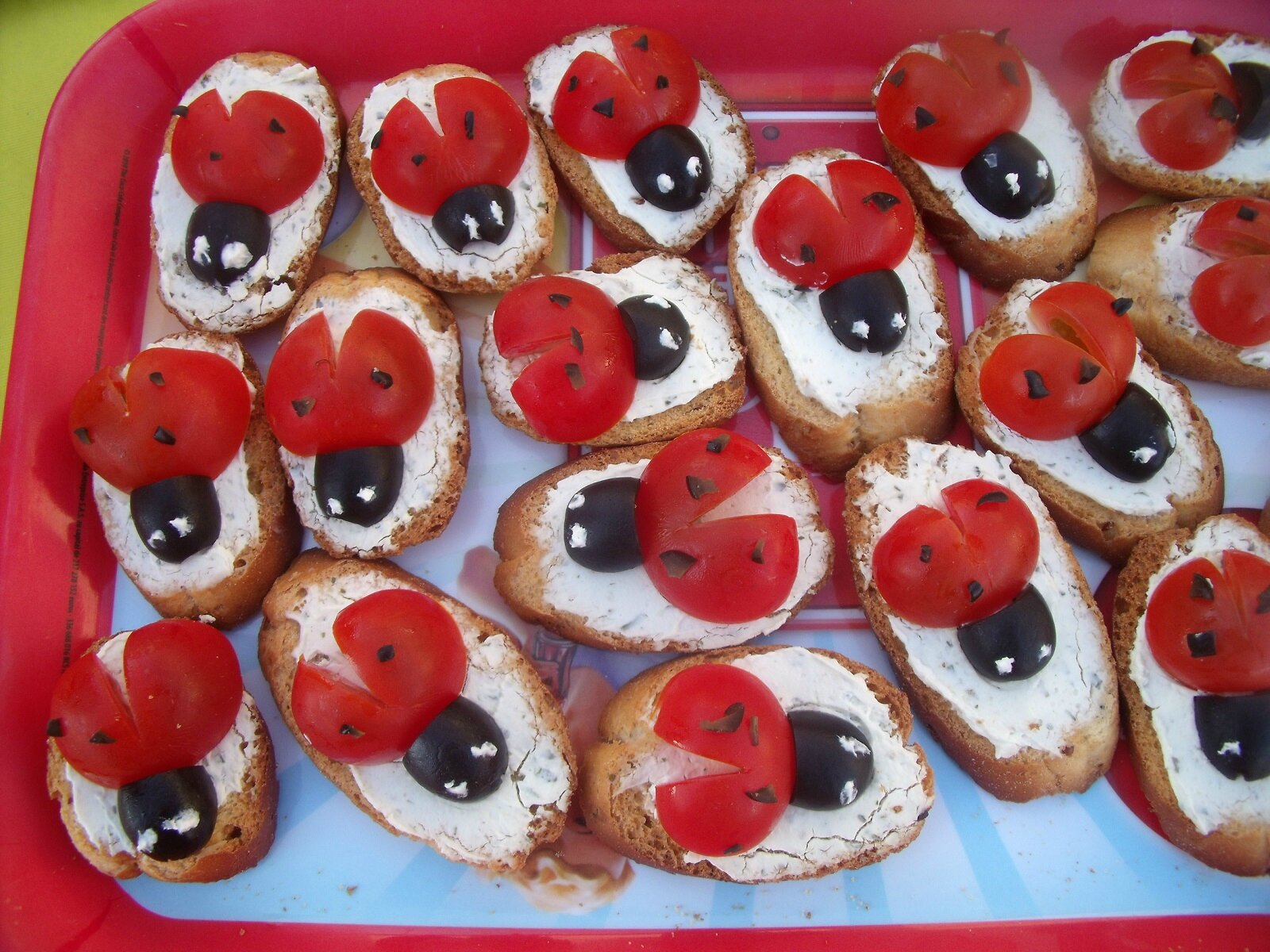 Des coccinelles - Au fil des jours...
