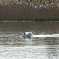 IMG_0029 - Copie