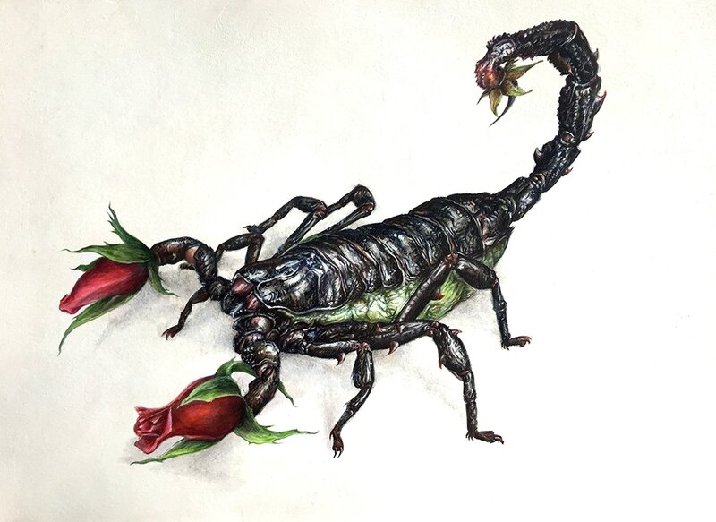 Scorpion1