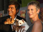 75280_video_667861_beverly_hills_chihuahua_premiere_los_angeles