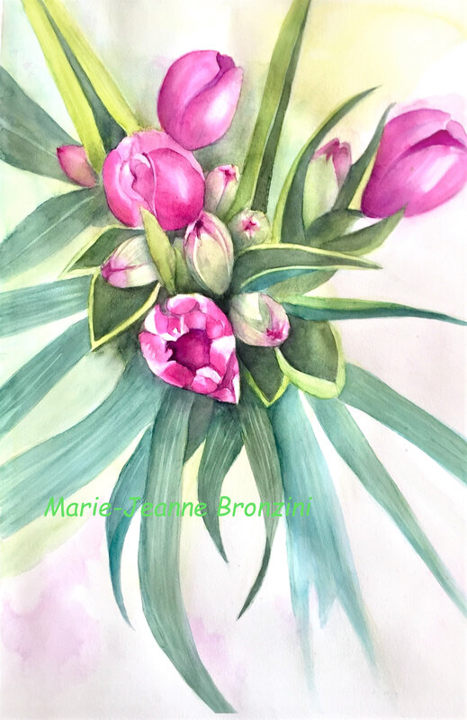 Bouquet de tulipesfimp