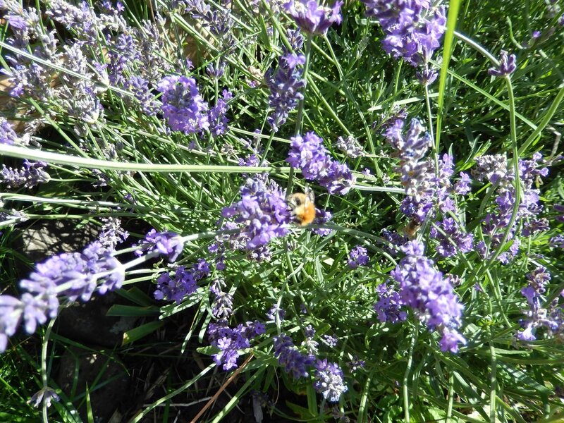 2014-31