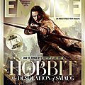 The Hobbit Desolation of Smaug Empire Cover 02
