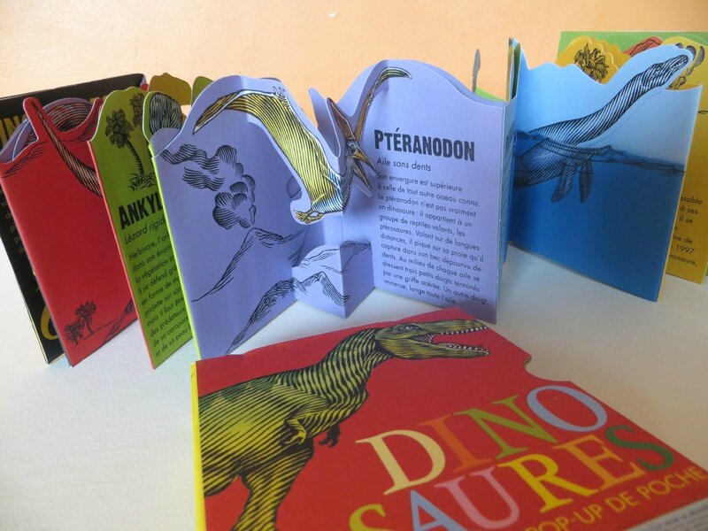 Dinosaures pop-up