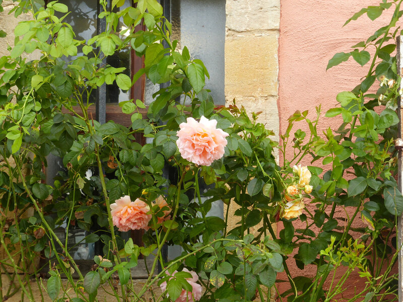 P1470968