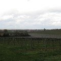 29022008 001