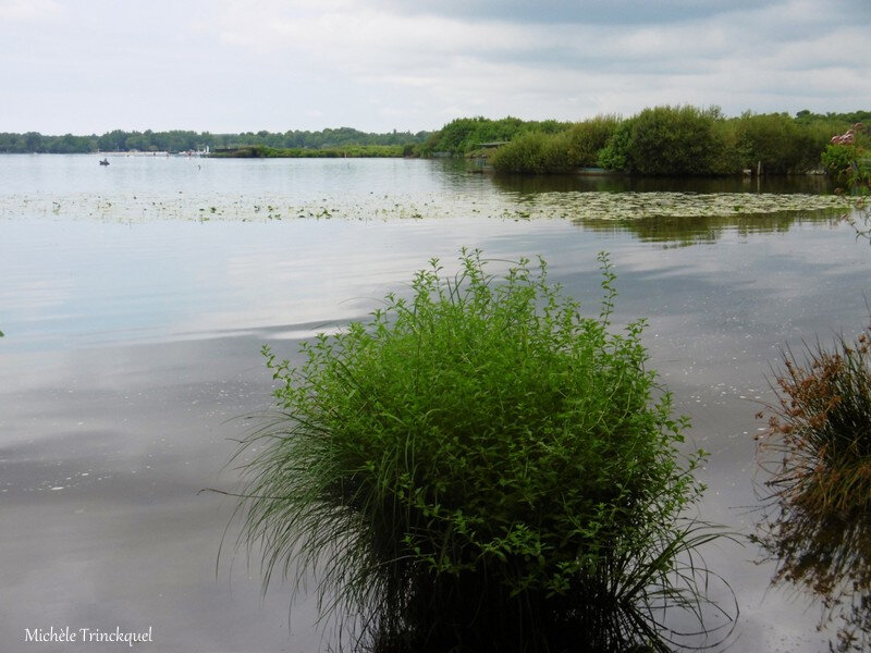 1-Balade au Lac 050819
