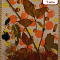 automne 2013