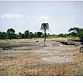 Image (6)