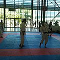 Arts martiaux 1