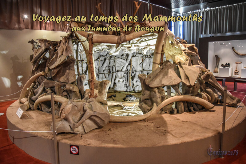 Voyagez au temps des Mammouths aux Tumulus de Bougon (3)