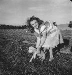 1945_meadow_sitting_sheep_by_dd_032_1