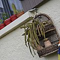 _DSC0033