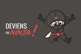 Résultat de recherche d'images pour "journée internationale du ninja"