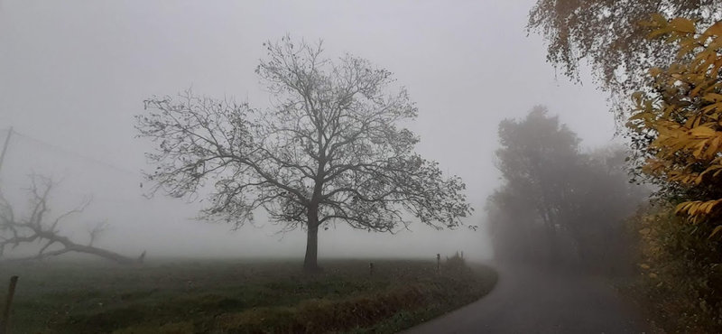 20211115_153133