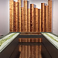 Sève et pensée, exposition de giuseppe penone à la bnf, à paris