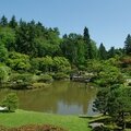 Japanese Garden Seattle 4