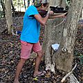 IMG_4239