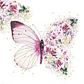 Inspiration papillon