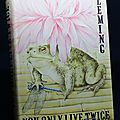 The book: « You only live twice » written by Ian Fleming in 1964. Photo: Olivier Daaram Jollant © 2016