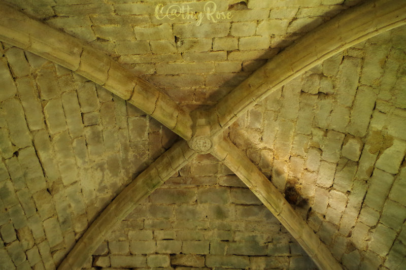 && Les Tours de Merle (18)