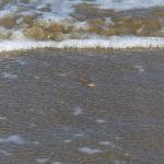 a la mer8