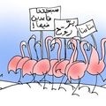 Les flamants roses manifestent contre l'occupation émiratie