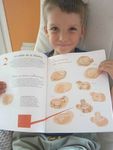 Le cahier d'activités des enfants qui remontent le temps