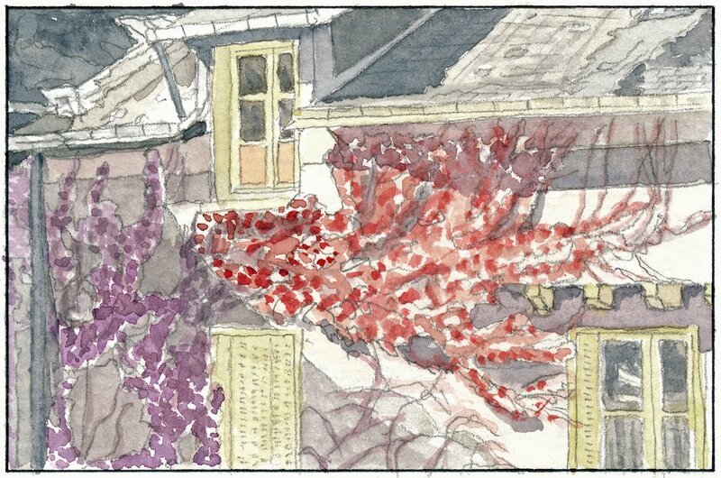 22 Sablé - Maison couverte de vigne rouge (non localisée) 1992 02 02 (3 de 3)