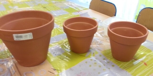 00 modele de pots