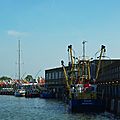 IMGP4771