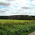 DSC08425