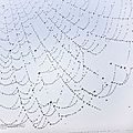 gouttes-toile17-04