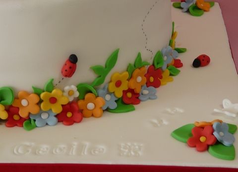 Gâteau anniversaire Nîmes