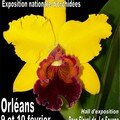 Orchiflore 2008, exposition nationale d'orchidées