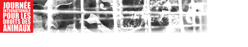 JIDA-banner