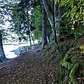 P1090549 (2)