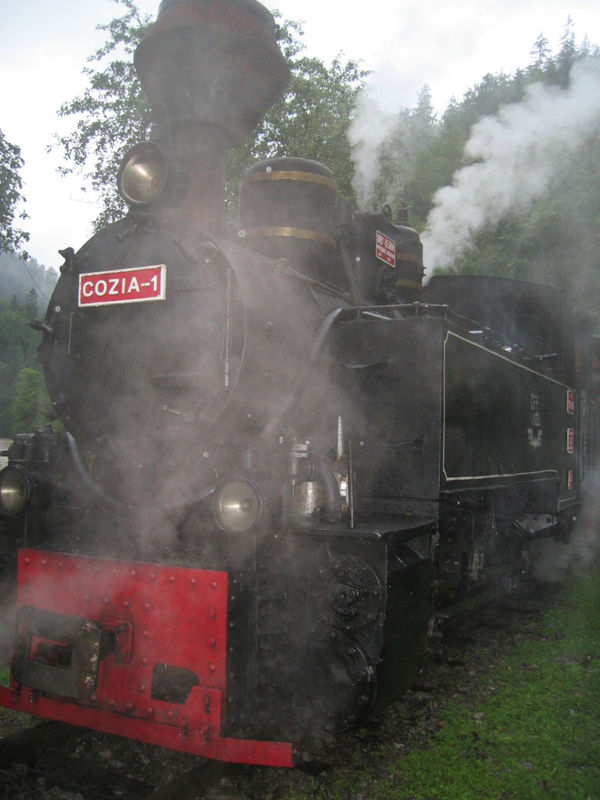 Train vapeur de Viseu de Sus