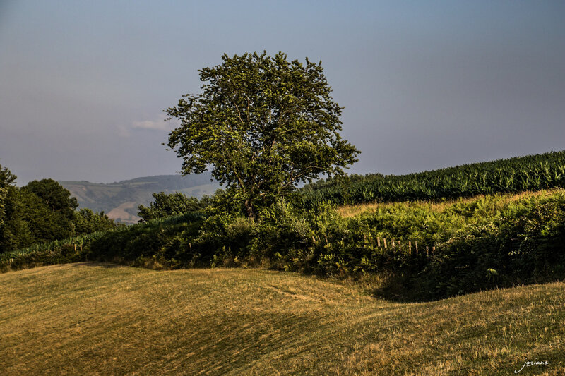 10072015-10072015-EO5A1115