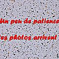 Z-9869 Promenade dans Saint-Omer 5 mai 2014